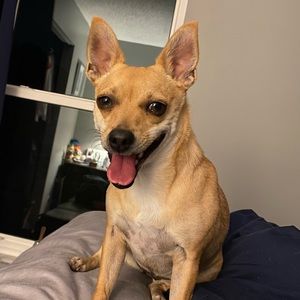 Meet your Posher, Courtney